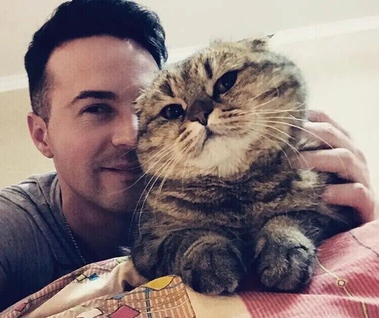 ���������� ������, ���� ������� ���������, 36 ���, ������������ ��� ������, ����� � ���������