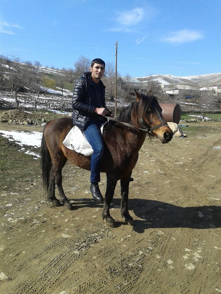 ���� 7279610 ������� Emin, 35 ���, ���� ���������� � ����