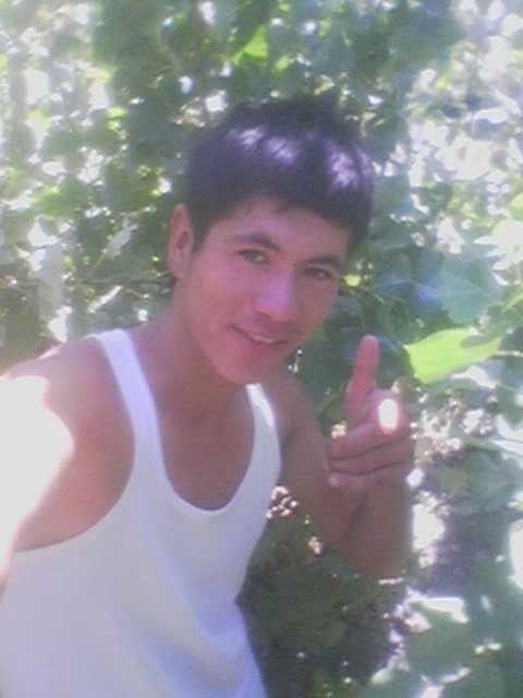  -,   , 29 ,     , c 