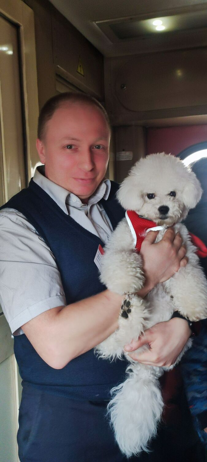 ���������� �����, ���� ������� ���������, 37 ���, ������������ ��� ������, ����� � ���������, c�������� ���������, ���������