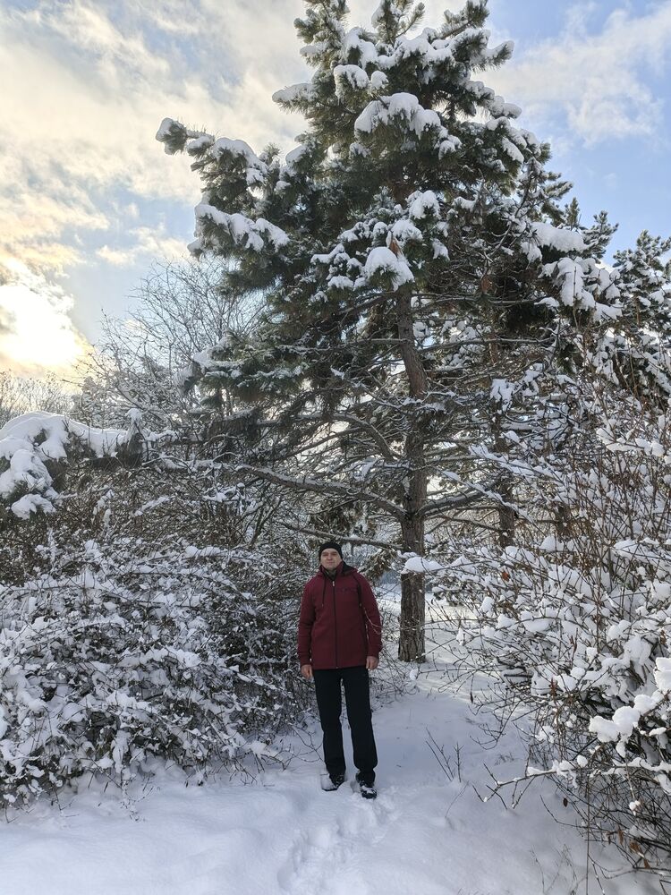 ���� 55141350 ������� ������, 51 ���, ���� ���������� � �����������