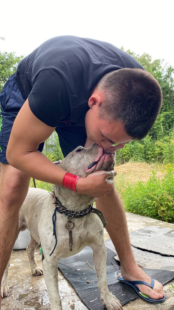 ���������� ������, ���� ����� �������, 25 ���, ������������ ��� ������, ���������