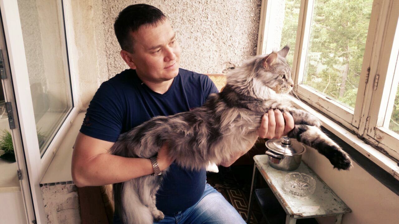 ���������� �������, ���� ������� ���������, 42 ����, ������������ ��� ������, ����� � ���������, ���������