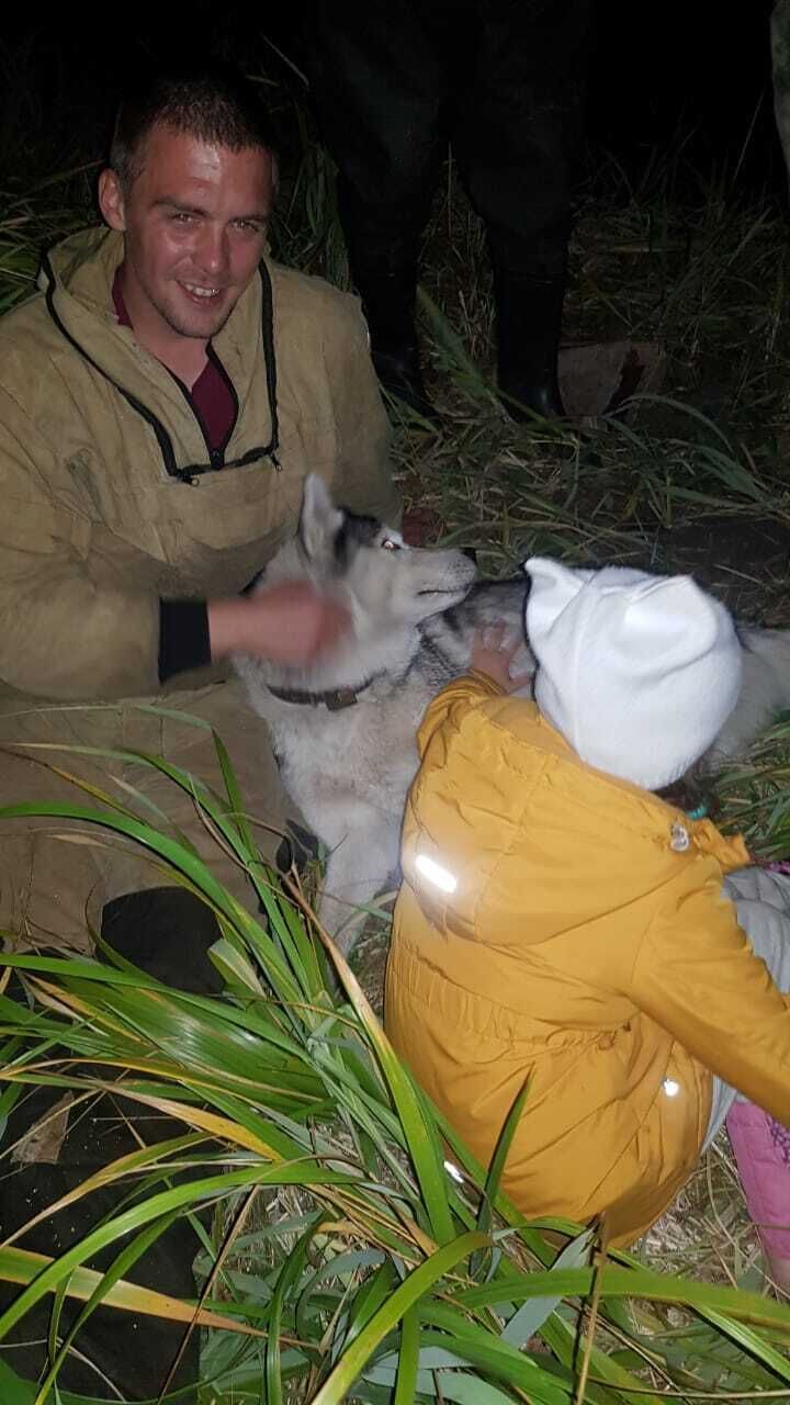 ���������� �������������-����������, ���� ������� ����, 33 ����, ������������ ��� ������, ����� � ���������