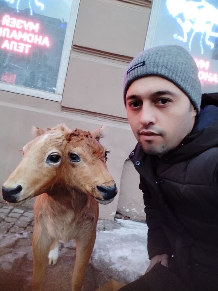 ���������� �����-���������, ���� ������� �����, 37 ���, ������������ ��� ������, ����� � ���������