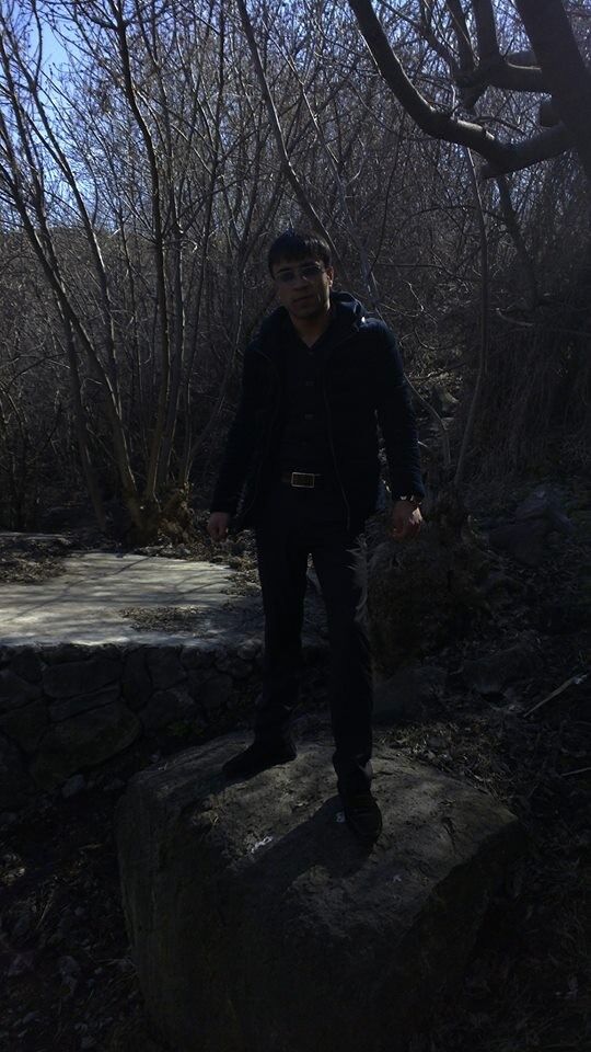 ���� 6568490 ������� ARM093727254, 33 ����, ���� ���������� � �������