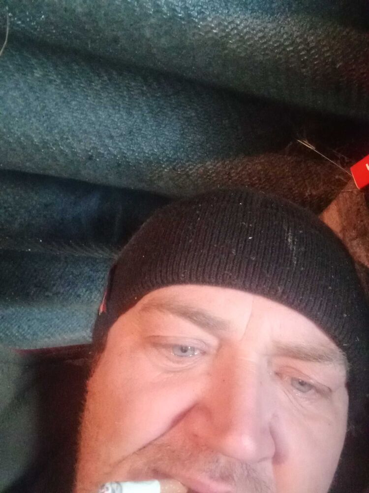 ���� 42068510 ������� ������, 44 ����, ���� ���������� � ������������