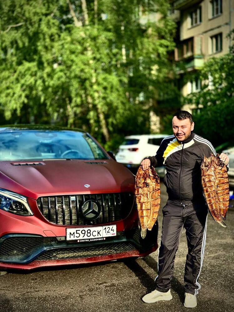  44361980  , 34 ,    -