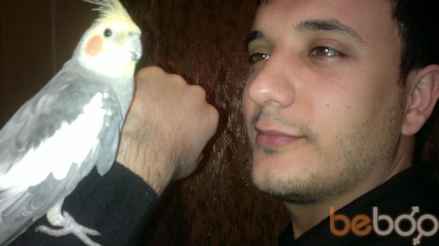  ,   Namik, 36 ,   