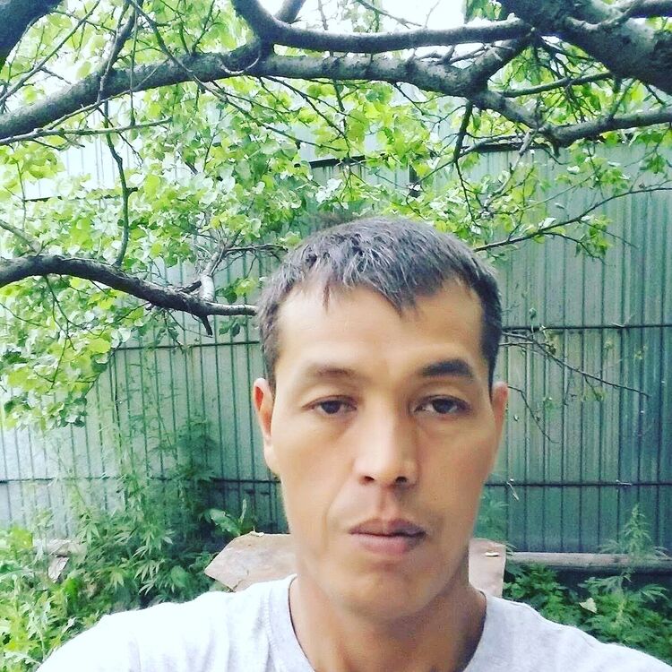 ���� 23354800 ������� ������, 44 ����, ���� ���������� � ������