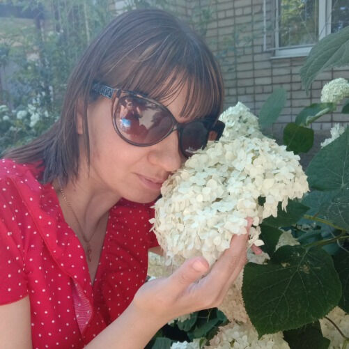 ���� 53362960 ������� ���������, 34 ����, ���� ���������� � ����������