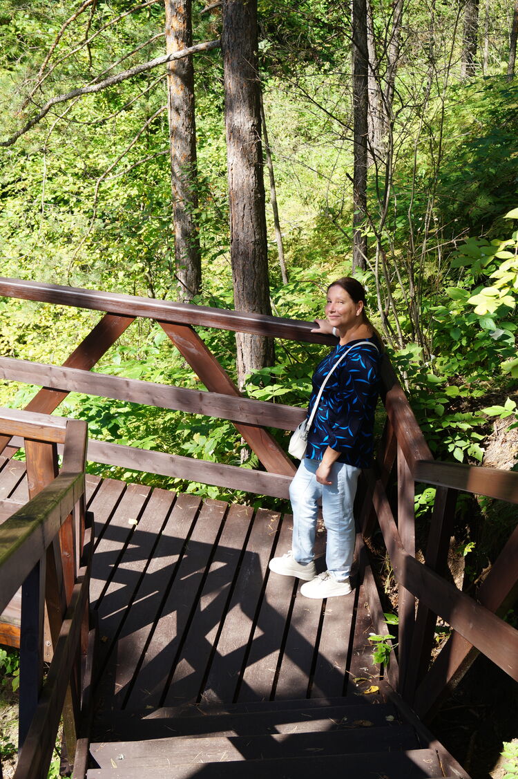 ���� 56033780 ������� �������, 51 ���, ���� ���������� � �����������