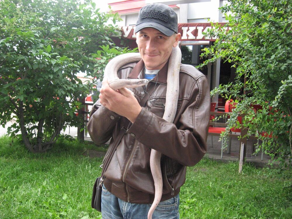  --,   , 38 ,   ,   