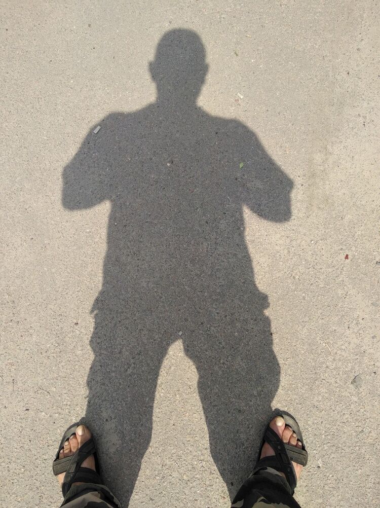  12614320  , 50 ,    