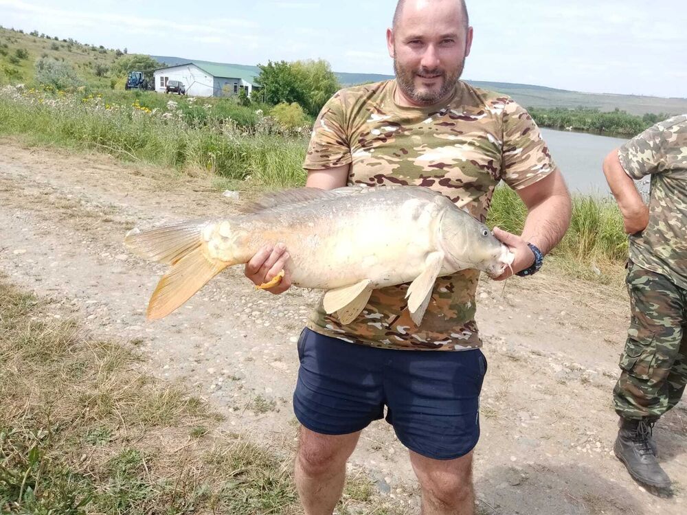 ���������� ����������, ���� ������� �����, 39 ���, ������������ ��� c�������� ���������