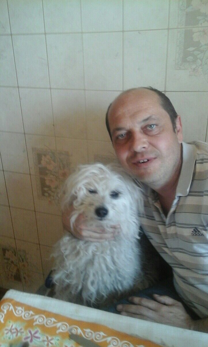 ���� 20847430 ������� ����, 48 ���, ���� ���������� � ������