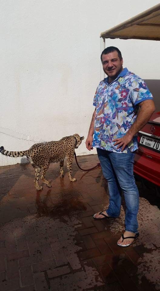 ���������� ������, ���� ������� Emil, 39 ���, ������������ ��� ������, ����� � ���������, c�������� ���������