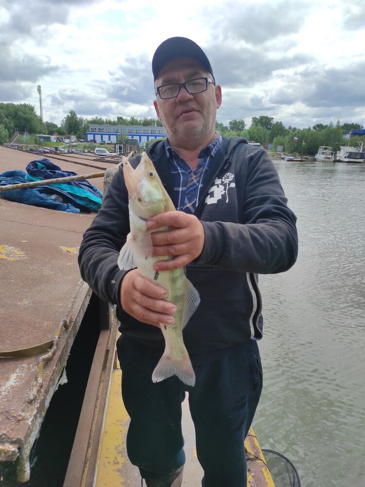  ,   , 57 ,   ,   