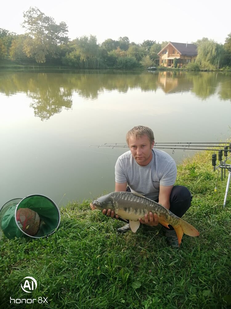 ���� 24575650 ������� ������, 41 ���, ���� ���������� � �������