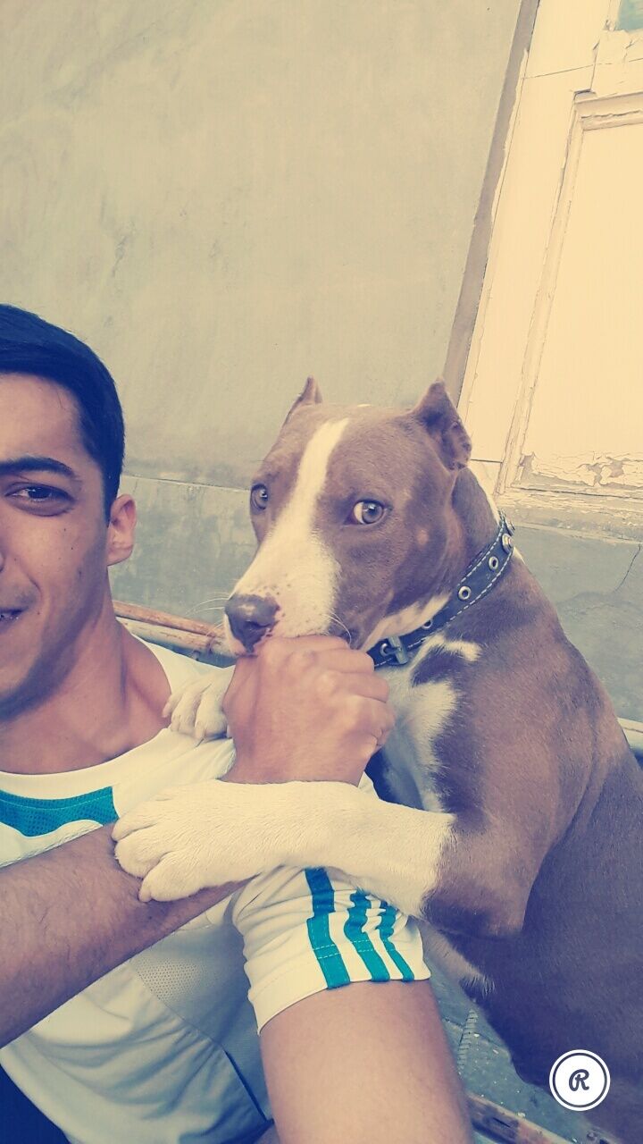 ���������� �������, ���� ������� ��, 36 ���, ������������ ��� ����� � ���������, c�������� ���������, ���������