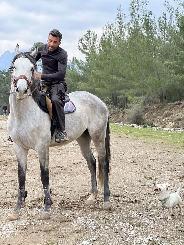  53086410  Soner, 45 ,    Alanya