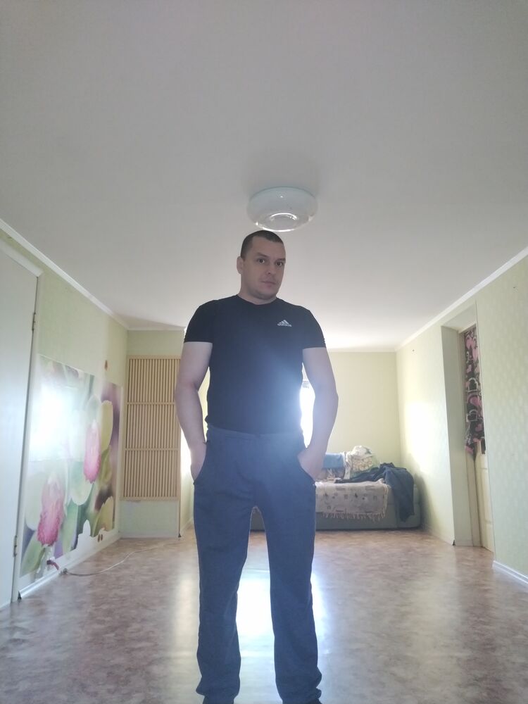  41315640  , 38 ,    