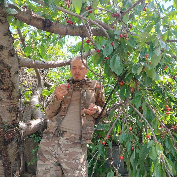 ���������� ������, ���� ������� ����, 36 ���, ������������ ��� ������, ����� � ���������