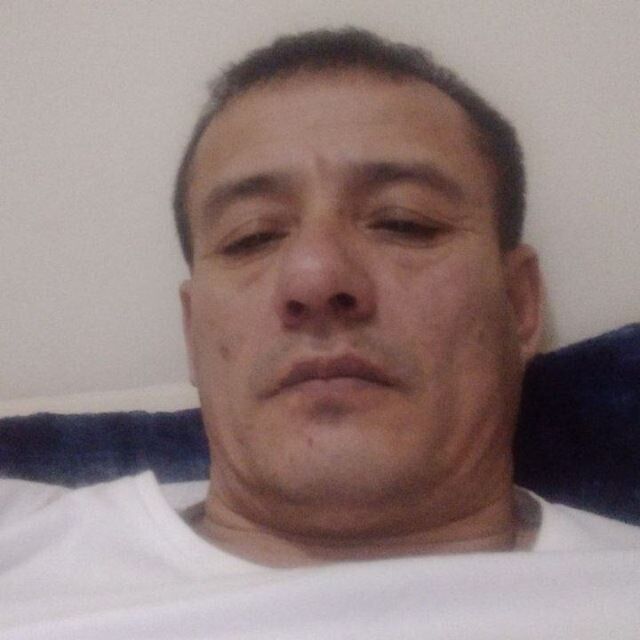  53311860  , 30 ,    -