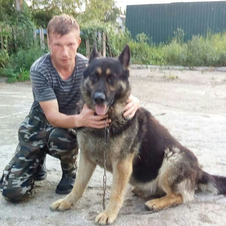  41261450  Vladimir, 44 ,    