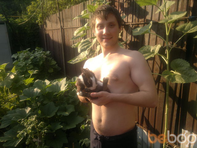 ���������� ������, ���� ������� �����, 38 ���, ������������ ��� ����� � ���������, c�������� ���������