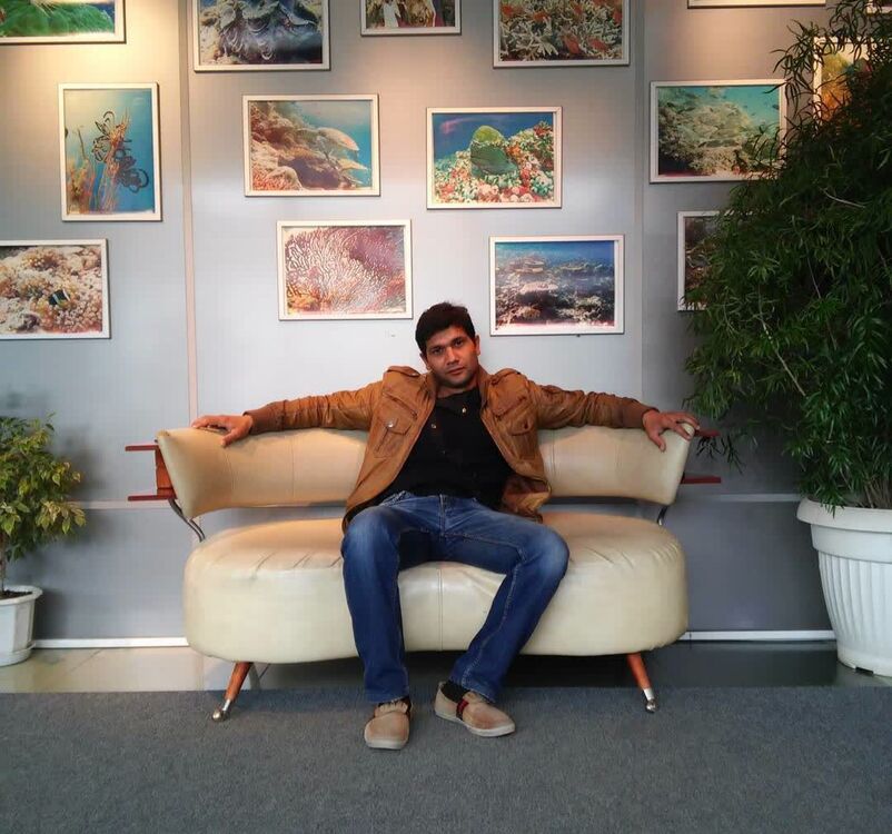 ���� 24495830 ������� �����, 40 ���, ���� ���������� � ����-����������