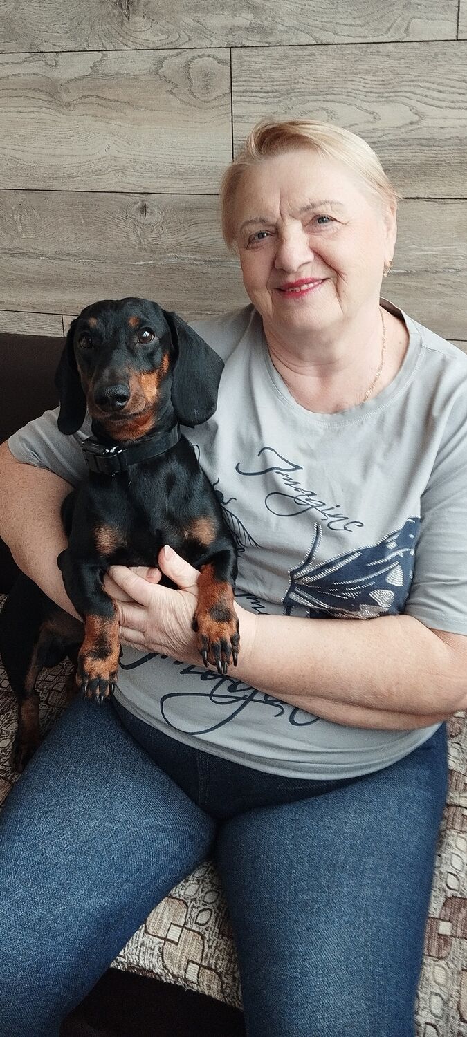 ���� 55352100 ������� ����, 74 ����, ���� ���������� � ���������