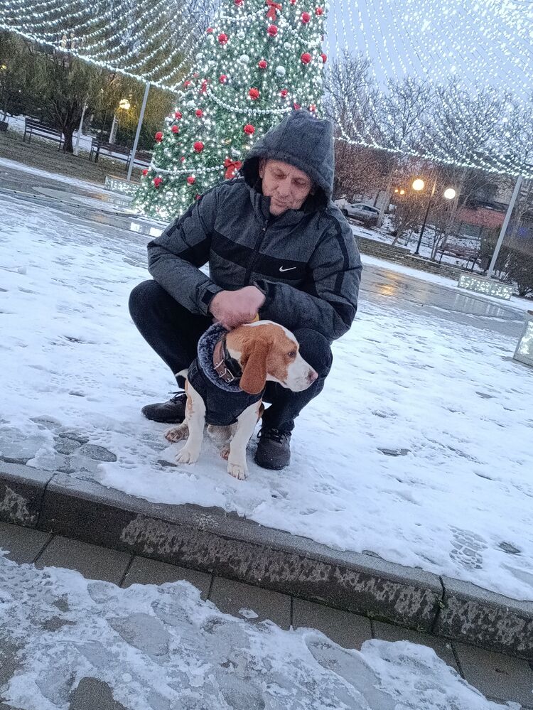 ���������� ����-�������, ���� ������� �����, 45 ���, ������������ ��� ������, ����� � ���������