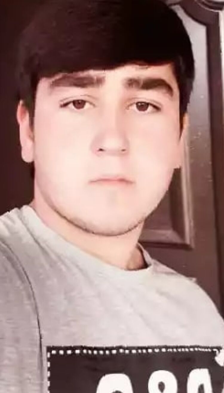  33656550  , 22 ,    -