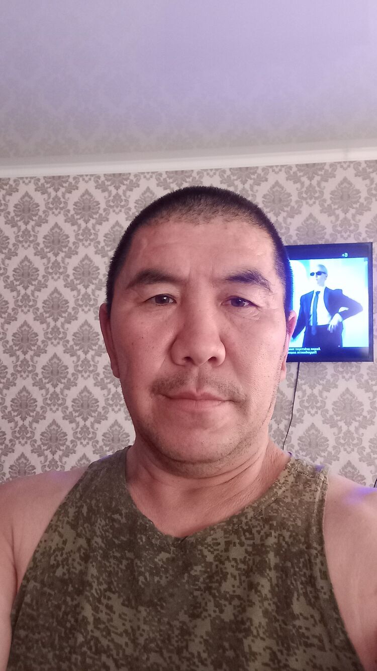  34960660  , 49 ,    