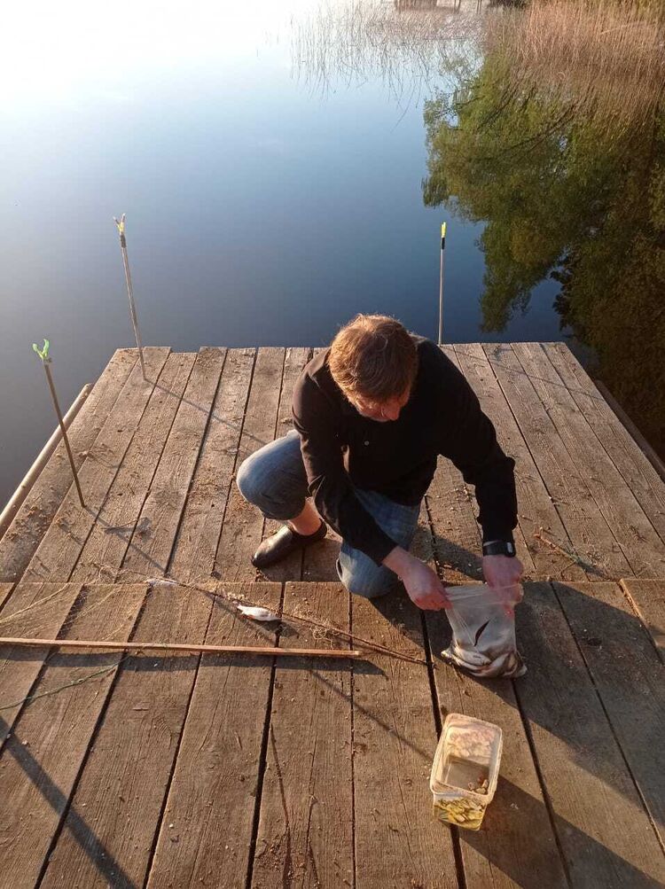 ���� 29616500 ������� ������, 53 ����, ���� ���������� � ������