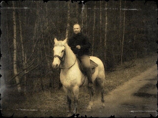 ���� 7135850 ������� Domien, 40 ���, ���� ���������� � ������ ���������