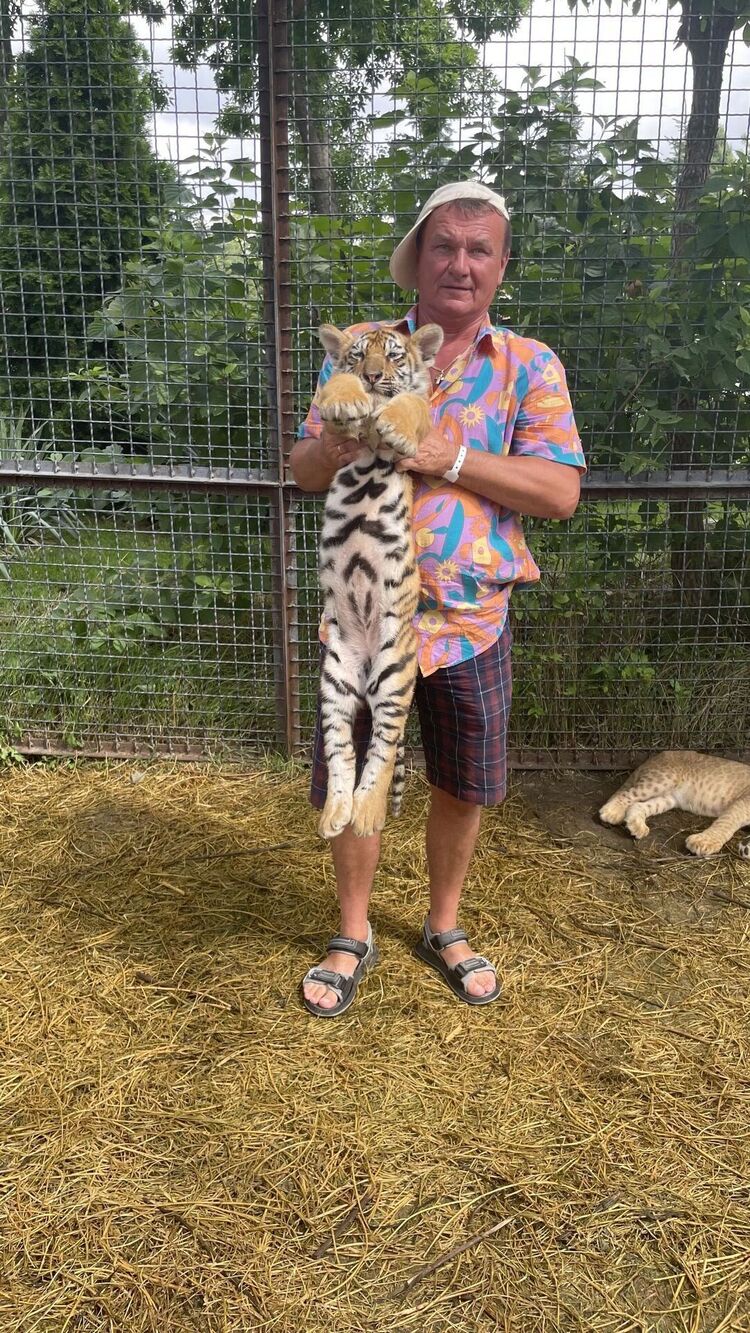 ���� 31720250 ������� ��������, 59 ���, ���� ���������� � ������