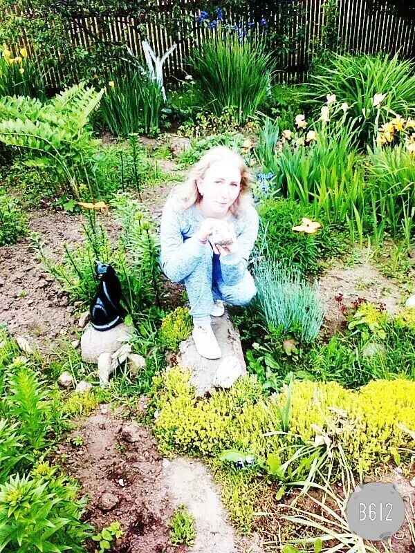  27327330  , 29 ,    -