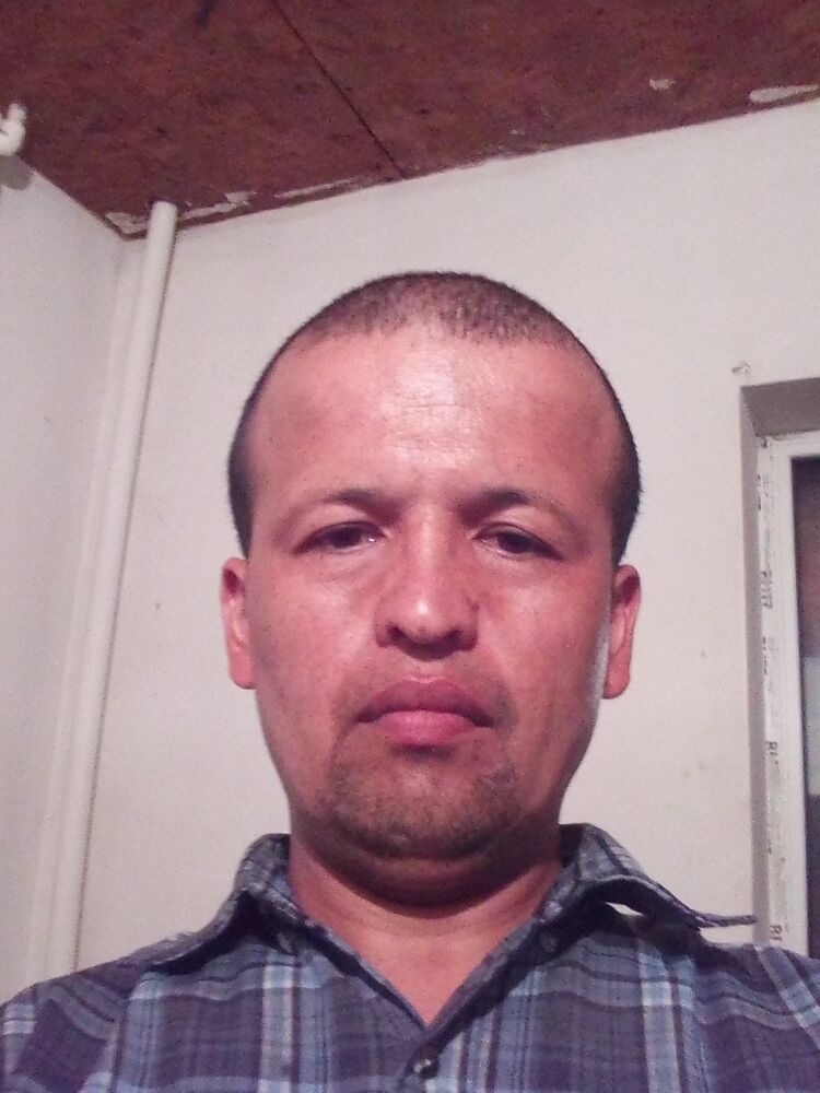 ���� 43645620 ������� ����, 38 ���, ���� ���������� � ������