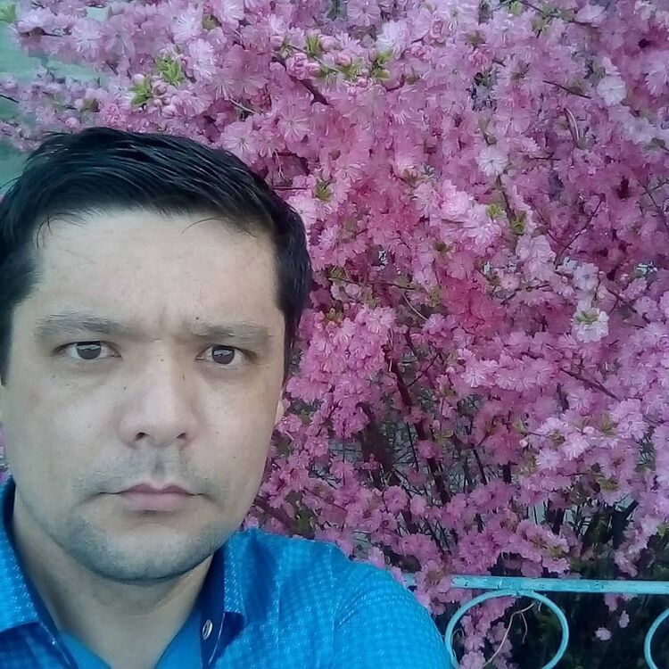 ���� 24406000 ������� ���������, 42 ����, ���� ���������� � ����������