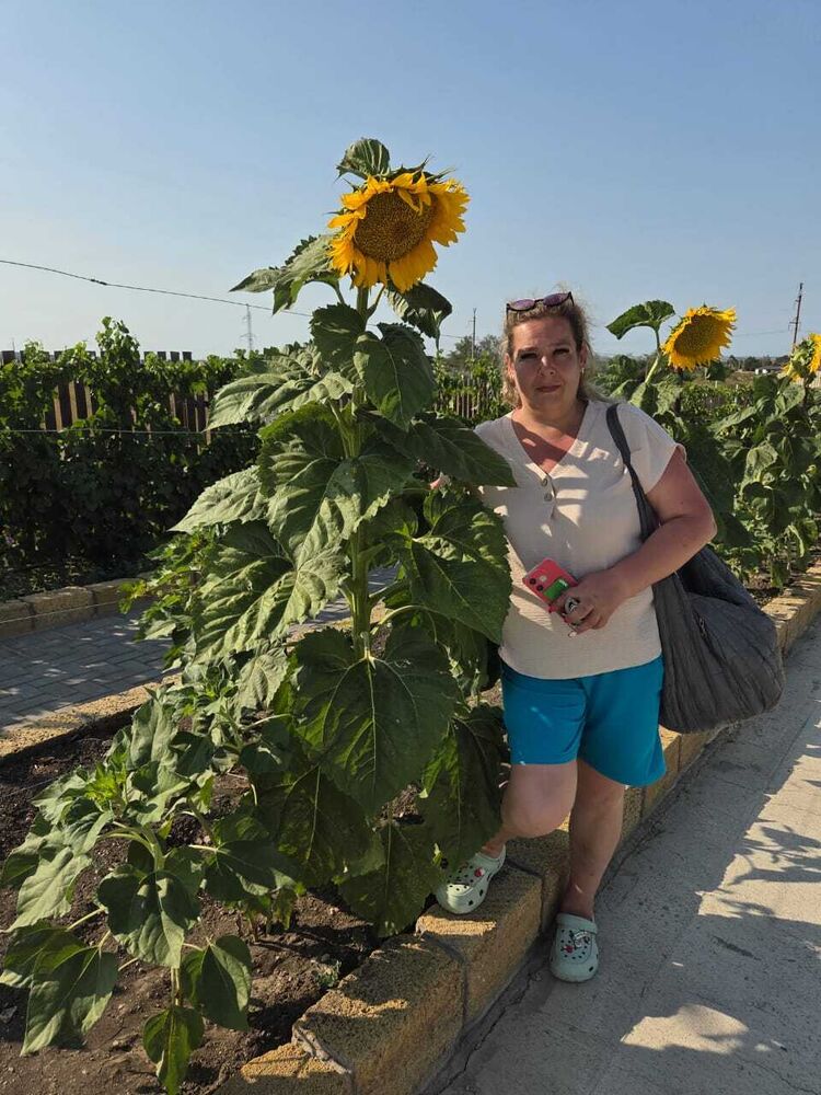 ���� 54115920 ������� �������, 50 ���, ���� ���������� � �������