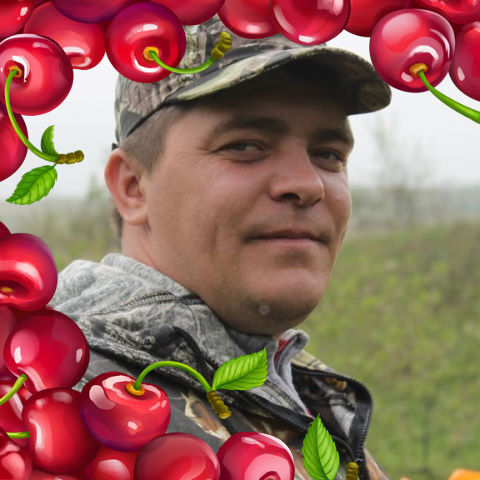 ���� 10517710 ������� ������, 44 ����, ���� ���������� � ������������