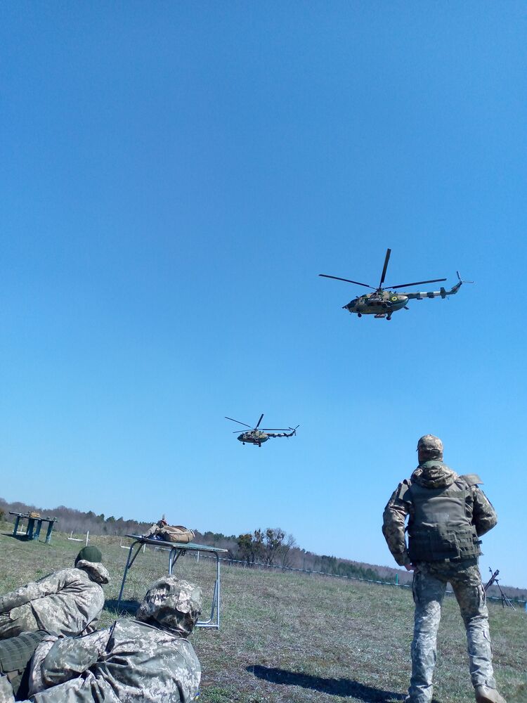  23118480  , 49 ,    