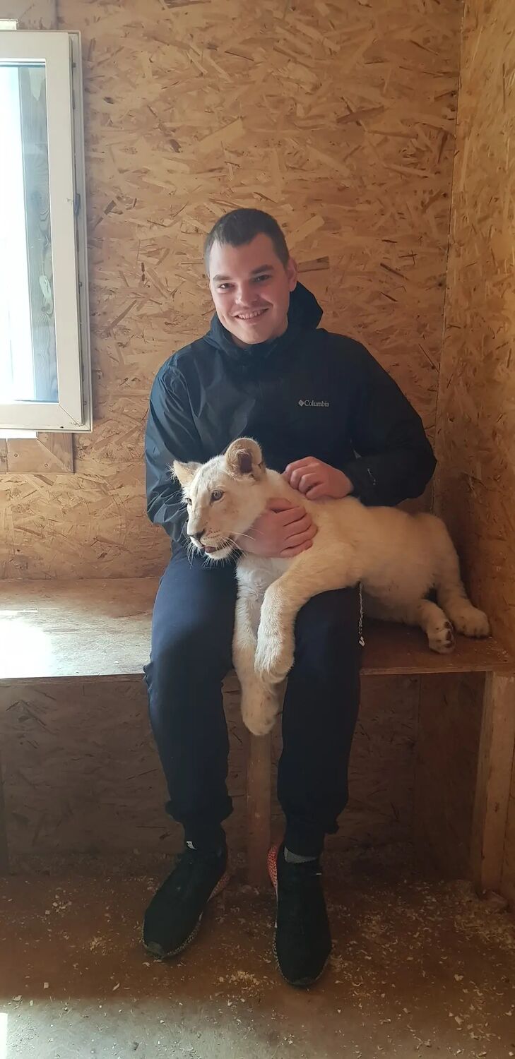 ���������� ����-���������, ���� ������� ������, 31 ���, ������������ ��� ������, ����� � ���������, c�������� ���������