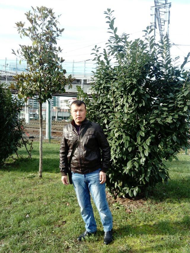  ,   , 43 ,   ,   , c , 
