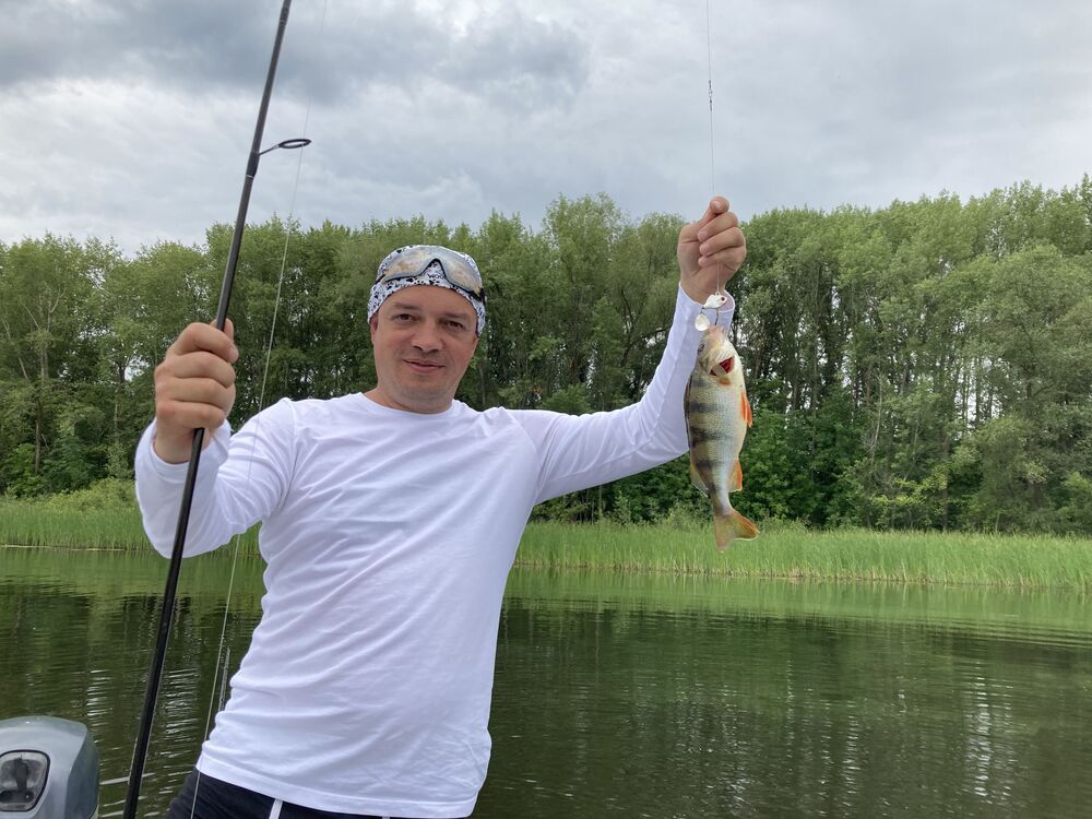 ���������� ������, ���� ������� �������, 42 ����, ������������ ��� c�������� ���������