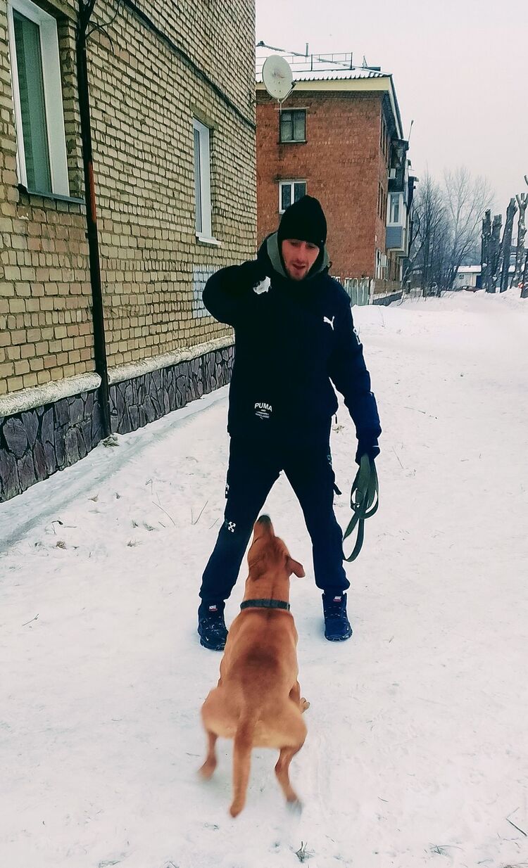 ���������� �����, ���� ������� �������, 28 ���, ������������ ��� ������, ����� � ���������