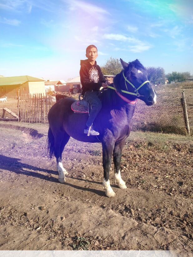 ���� 39361100 ����� Ghvvbnncx, 24 ����, ���� ���������� � ������