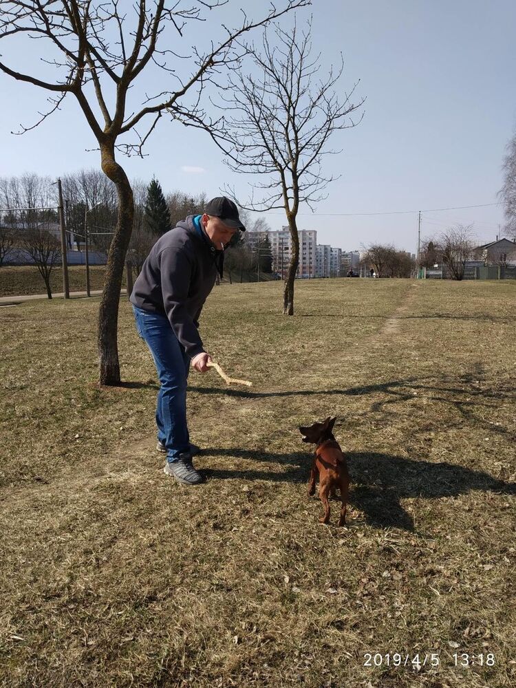 ���������� �����, ���� ������� �����, 49 ���, ������������ ��� ������, ����� � ���������, c�������� ���������